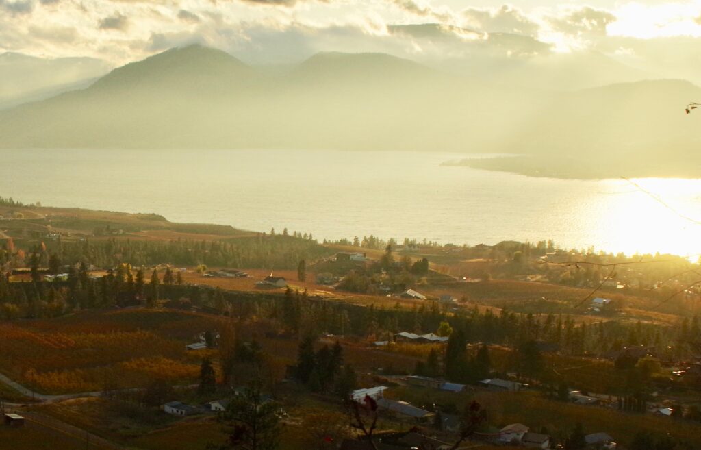 Photo of Naramata Bench drenched in golden hour sunshine, with Okanagan Lake and the mountains in the background with clouds in the sky.