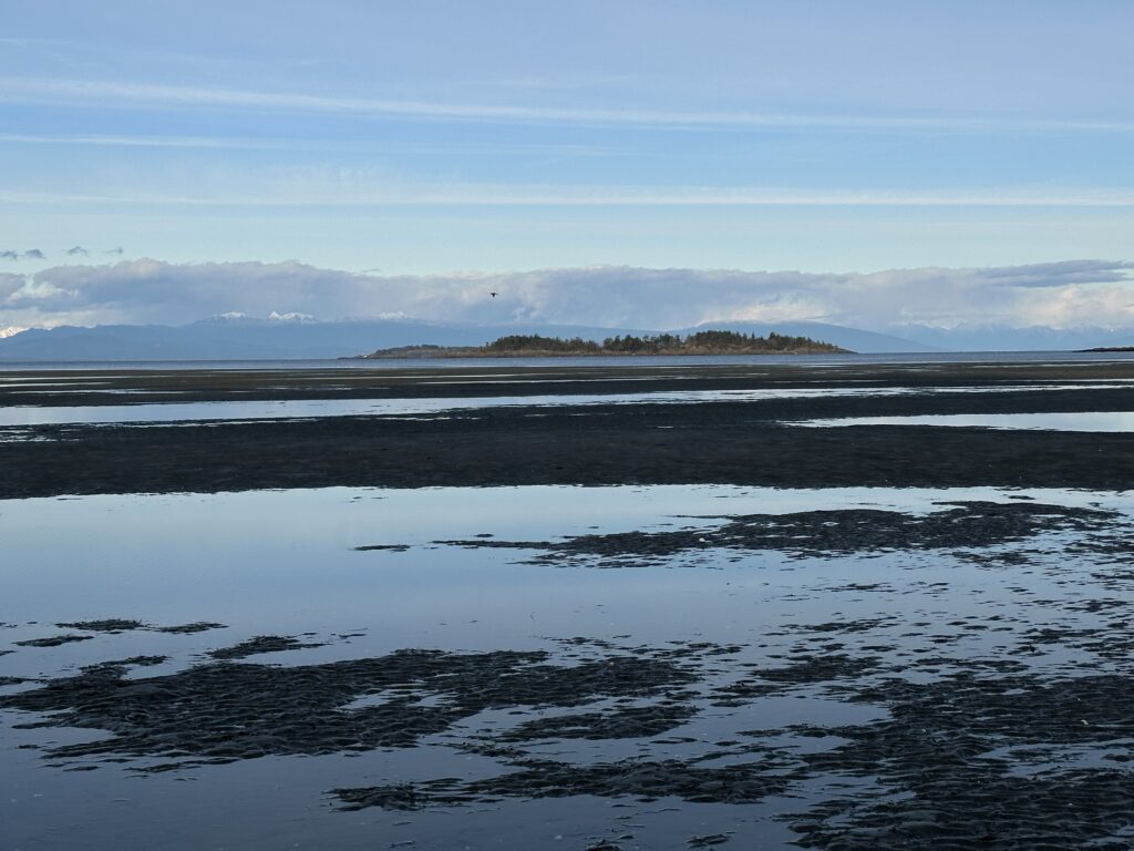 A long drawn out beach with a small island and mountains in the background