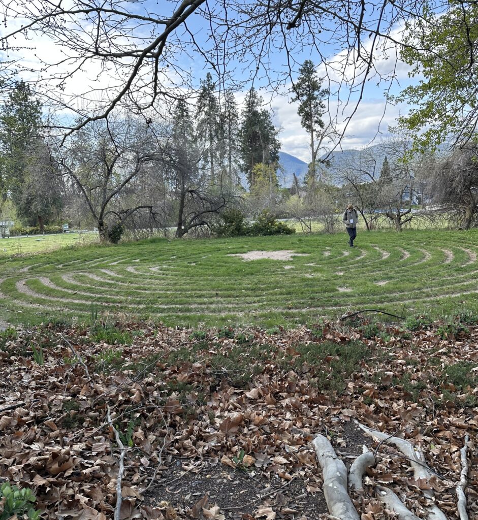 A man walking the meditative maze cut into the grass